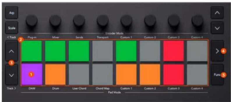 NOVATION Launchkey MMini 25 K4 - Utilisation du mode pad Clip Launcher de Bitwig Studio - 1