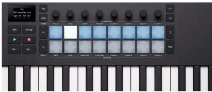 NOVATION Launchkey MMini 25 K4 - En mode Arp Pattern : - 1