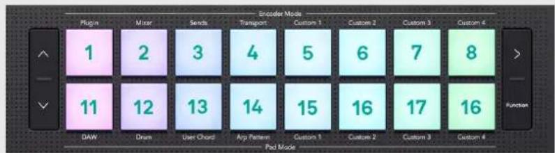 NOVATION Launchkey MMini 25 K4 - TERMINOLOGIE DES COUSSINETS DETAMBOUR - 1