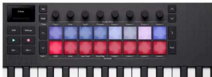 NOVATION Launchkey MMini 25 K4 - Utilisation du mode pad DAW dans Cubase - 4