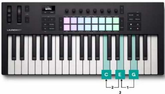 NOVATION Launchkey MMini 25 K4 - Arp manuel versle bas - 1