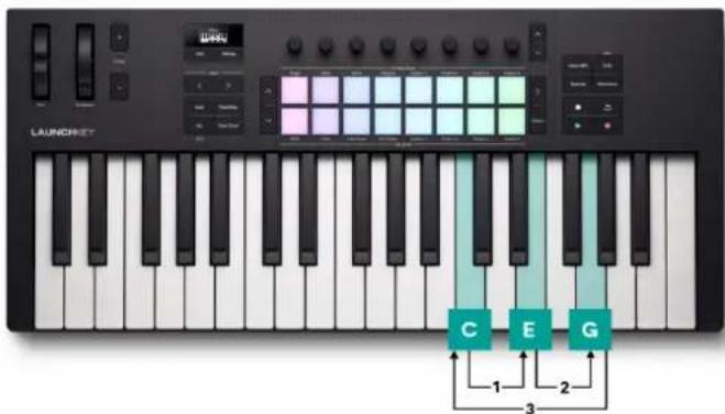 NOVATION Launchkey MMini 25 K4 - Arp manuel vers le haut - 1