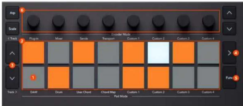 NOVATION Launchkey MMini 25 K4 - Utilisation du mode séquenceur de Bitwig Studio - 1