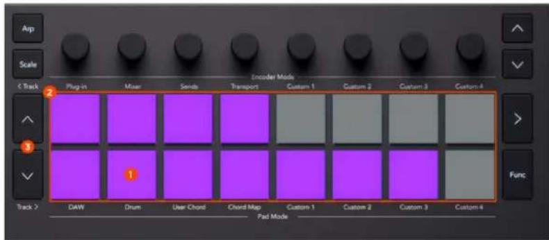 NOVATION Launchkey MMini 25 K4 - Utilisation du mode Drum pad de Bitwig Studio - 1