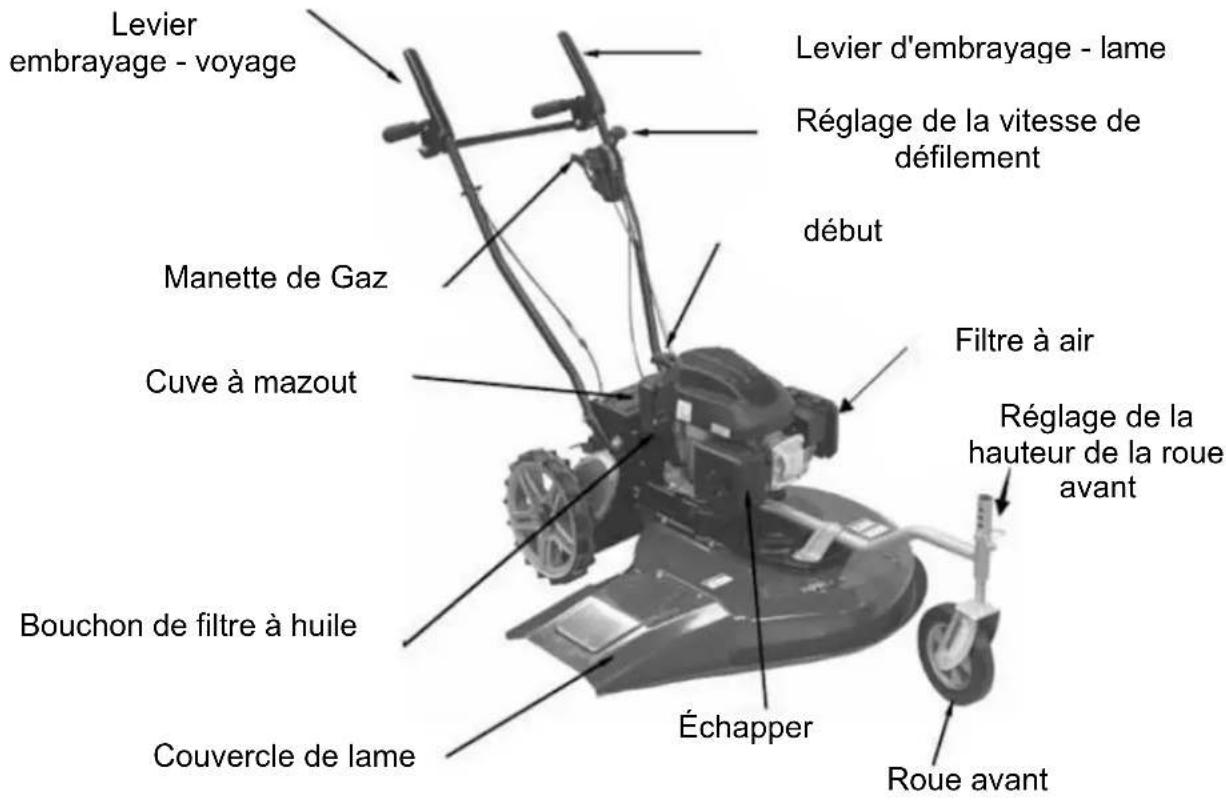 Anova DC361 - PIÈCES DE LA MACHINE - 2