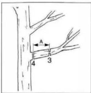 Anova D26C-PA - Coupe à ras de grosses branches - 1
