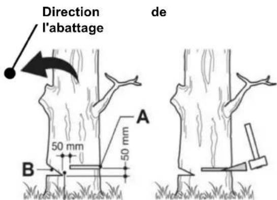 Anova MG2700 - Couper un arbre - 1