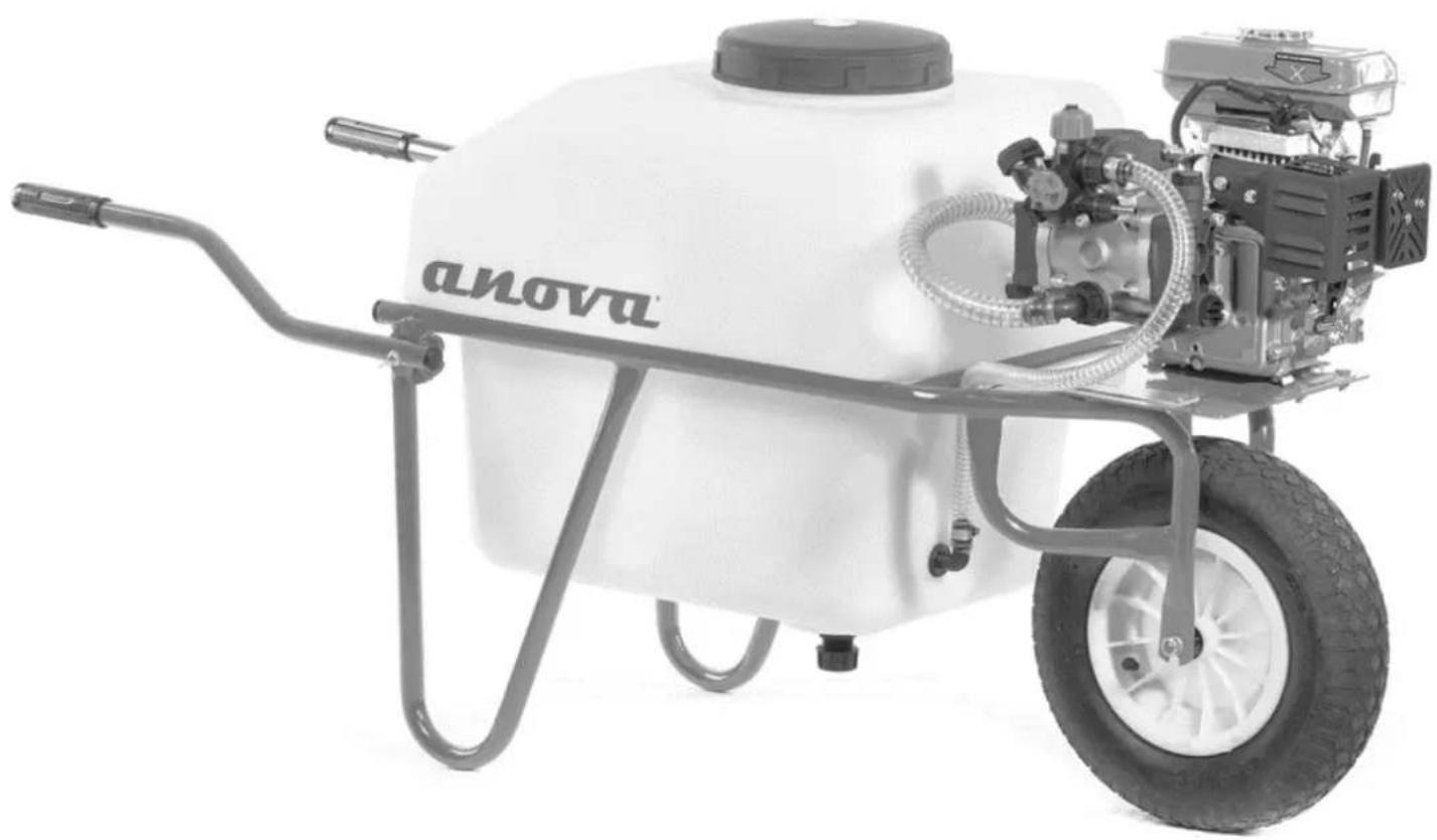 Anova P101 - P101 - 1