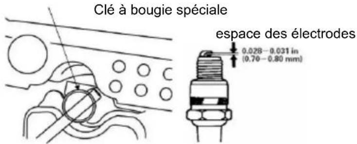 Anova P101 - Bougie d'allumage - 1