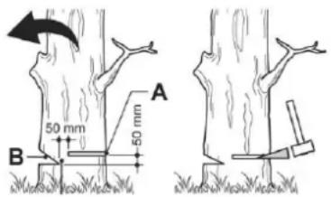 Anova MG262 - ■ Cutting down a tree - 1