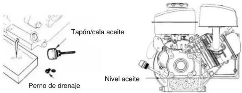 Anova P100-1 - Sustituir el aceite del cárter - 1