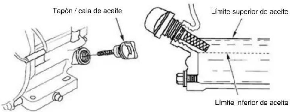 Anova P100-1 - Revise el nivel aceite - 1