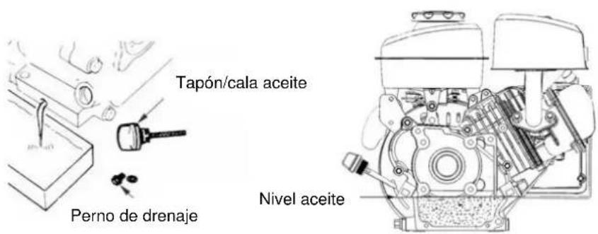 Anova P100-2 - Sustituir el aceite del cárter - 1