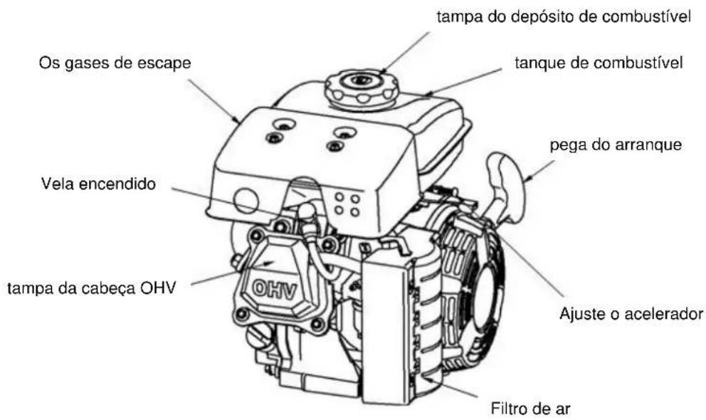 Anova P100-2 - Capítulo 2. Identificação das partes - 1