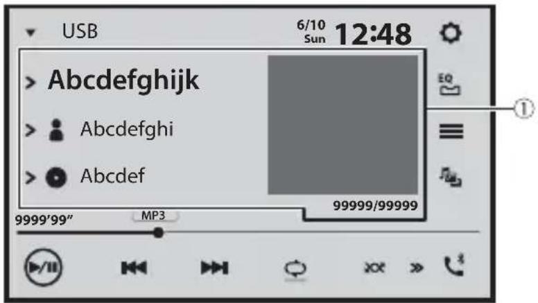 PIONEER SPH-EVO950DAB - Source audio - 1