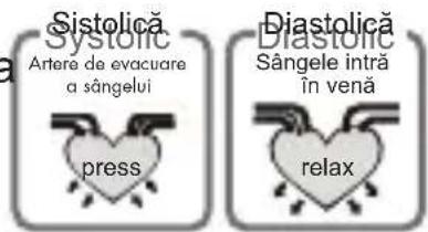 Medel Soft TMB-1581-S - CE SEMNIFICĂ PRESIUNEA SISTOLICĂ ȘI PRESIUNEA DIASTOLICĂ? - 1