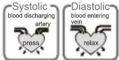 Medel Soft TMB-1581-S - WHAT ARE SYSTOLIC PRESSURE AND DIASTOLIC PRESSURE? - 1