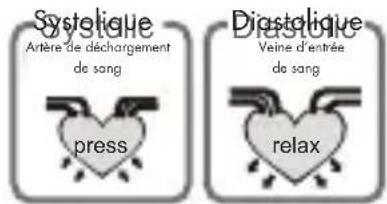 Medel Soft TMB-1581-S - QUE SONT LA PRESSION SYSTOLIQUE ET LA PRESSION DIASTOLIQUE ? - 1