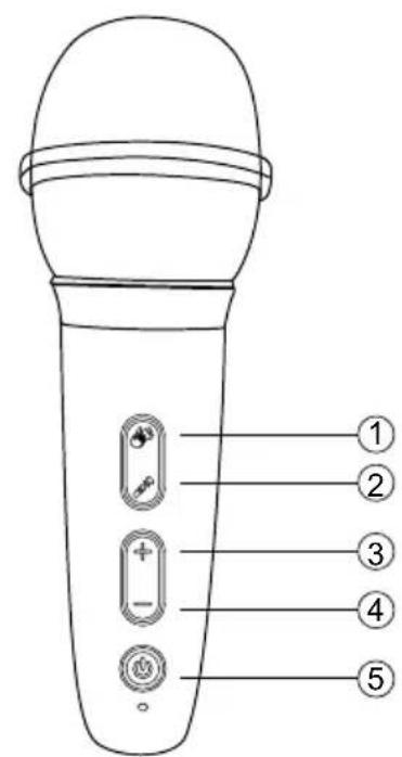 BIGBEN PARTYBTLITE2 - Kabelloses mikro - 1
