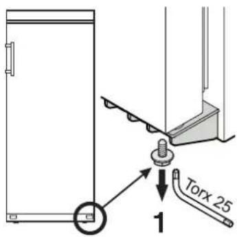 Torx 25 1