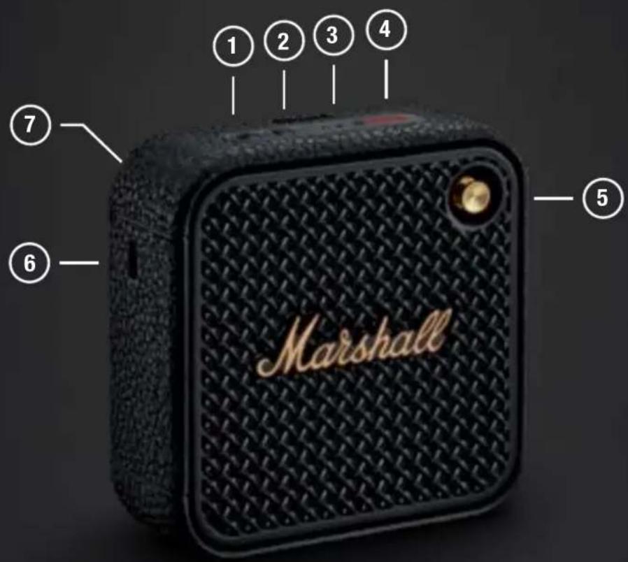 MARSHALL Willen II - 1