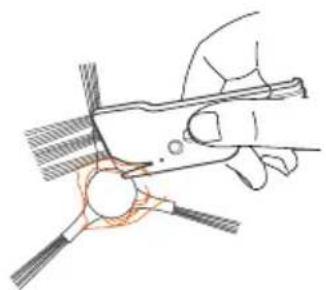 Ultenic D6S - Cepillos lateral - 1