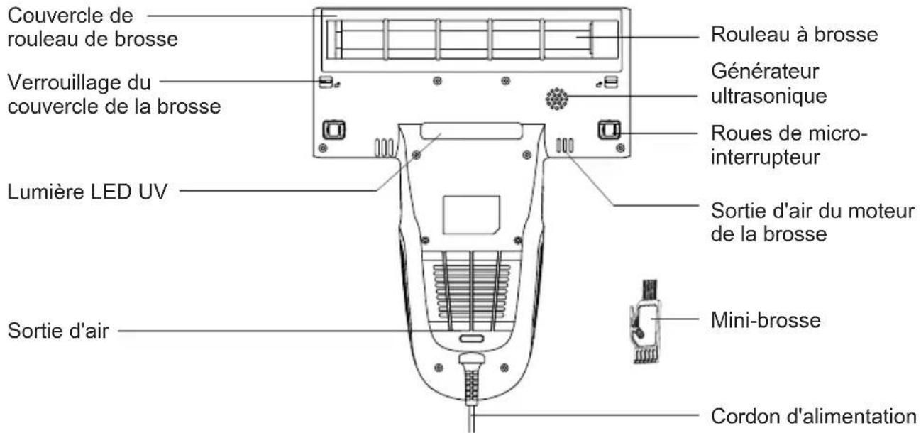 Couvercle de rouleau de brosse Verrouillage du couvercle de la brosse Lumière LED UV Sortie d'air Rouleau à brosse Générateur ultrasonique Roues de micro-interrupteur Sortie d'air du moteur de la brosse Mini-brosse Cordon d'alimentation