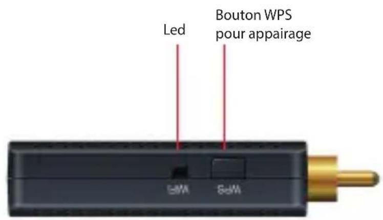 ADVANCE WTX-MicroStream - L'interface - 1