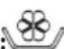 CECOTEC Bolero DressCode 720 E - 3.- Ammorbidente: - 1