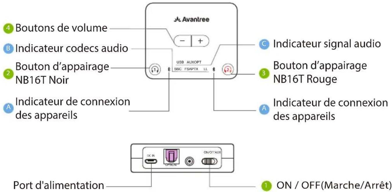 Avantree HT41866 - Vue d'ensemble - 1