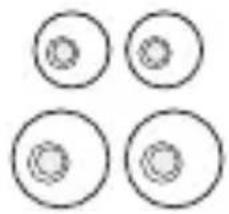 LG Tone Free TONE-FP5 - Product Components - 2