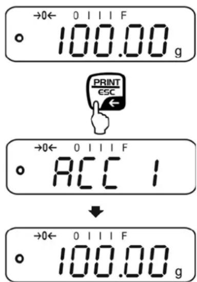 Kern EWJ 6000-1SM - Totalisation: - 1