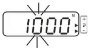 1000 + - + -
