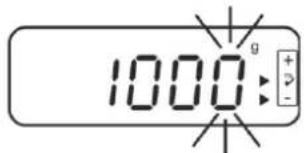 1000g + - + -
