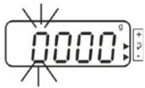 0000g