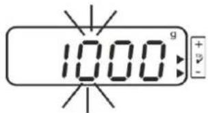 1000g
