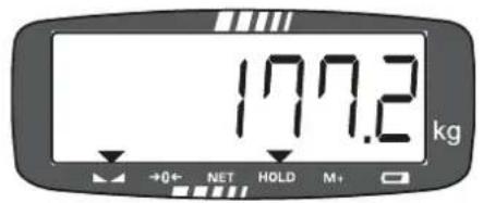 177.2 kg +0+ NET HOLD M+