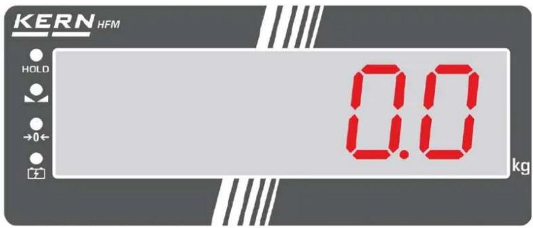 Kern HFM 1T0.1 - Anzeige - 1