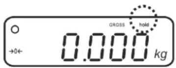 GROSS hold 0.000 kg