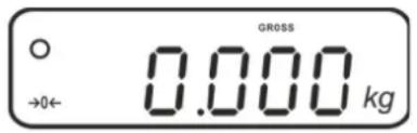 GROSS 0.000 kg →0←