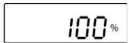 Kern IOC 100K-2M - Percent weighing - 4