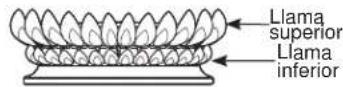 Monogram ZDP366NTSS - Cocción: - 2