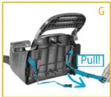 MAXI-COSI Minla Plus - DE - 121