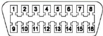 PIONEER CA-R-SSR.002 - CAN at OBD2 connector - 1