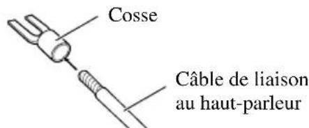 PIONEER GM-X352 - Fixez une cosse à l'extrémité de chaque cable de haut-parleur. Les cosses ne sont pas fournies. - 1