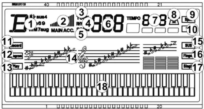 MAX Rhapsody61L - EKRAN - 1