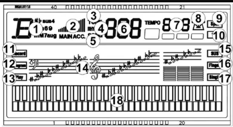 MAX Rhapsody61M - DISPLAY - 1