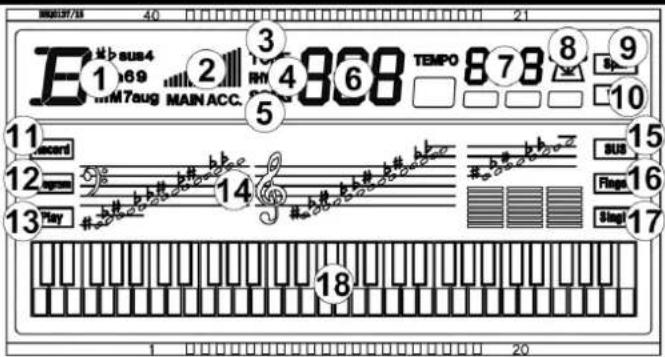 MAX Rhapsody61M - AFFICHAGE - 1