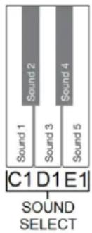 MAX RhapsodyDP88 - PLAYING SOUNDS - 2