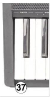MAX RhapsodyDP88 - Prise casque - 1